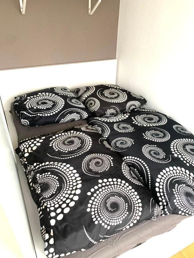 Beautiful Premium Apartment, Near University , Wifi , Free Parking Регенсбург Экстерьер фото